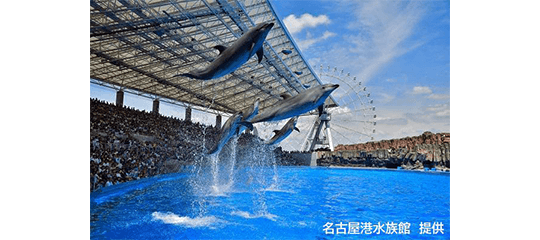 名古屋港水族館